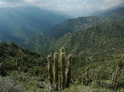 Sierra de Pochoco.jpg