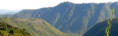 Cordillera-Pemehue-tramo2-b.jpg