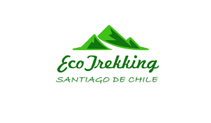 Logo facebook chile.png