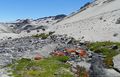 17 Greater Patagonian Trail, Volcan Descabezado.jpg