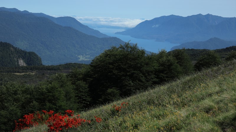 Volcan Choshuenco (2).JPG