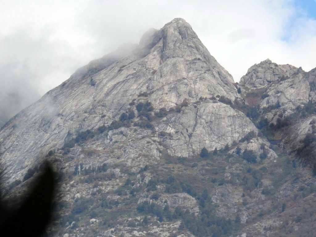 Laguna huequecura (13).JPG