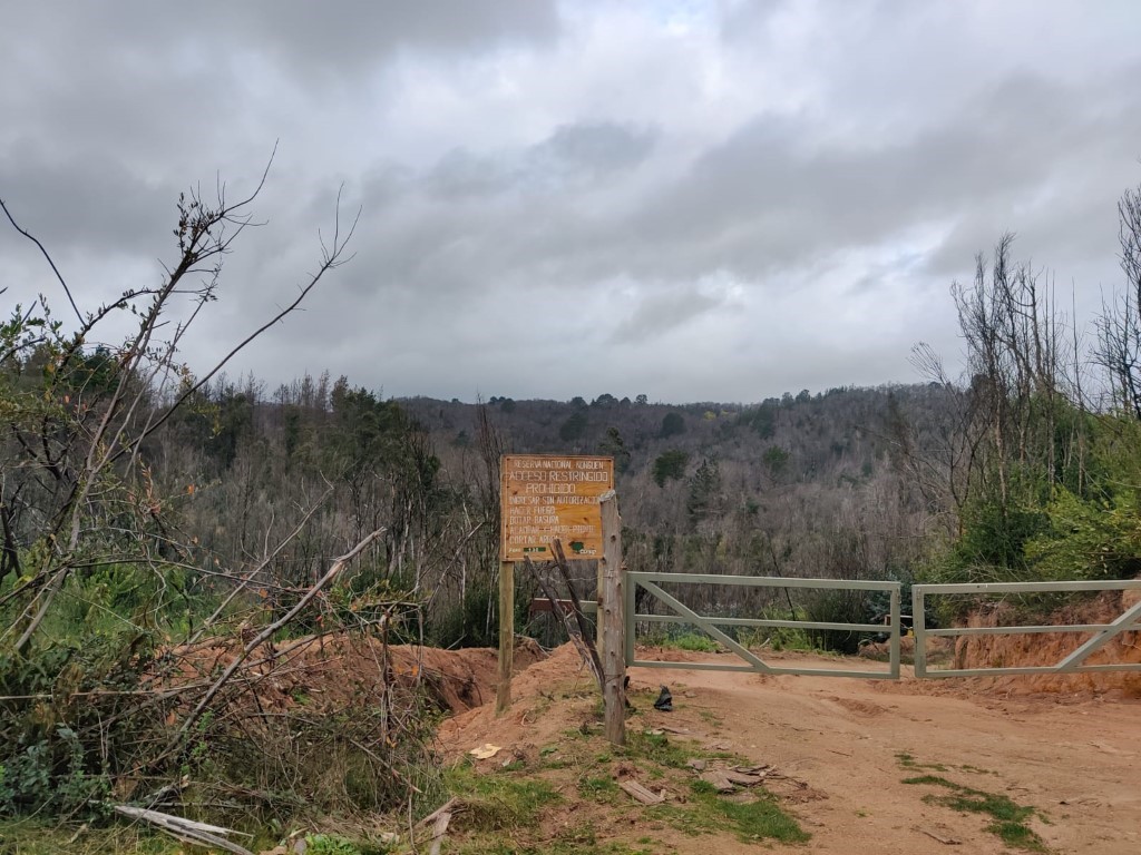 Vuelta mirador (5).jpeg