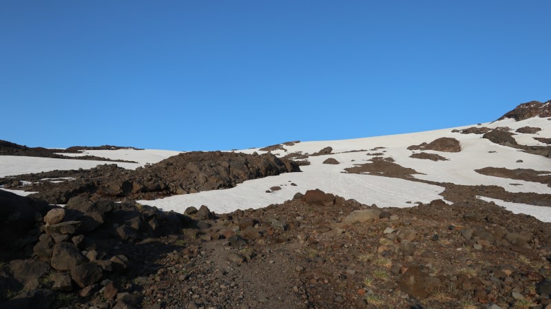 Volcan Choshuenco (32).JPG