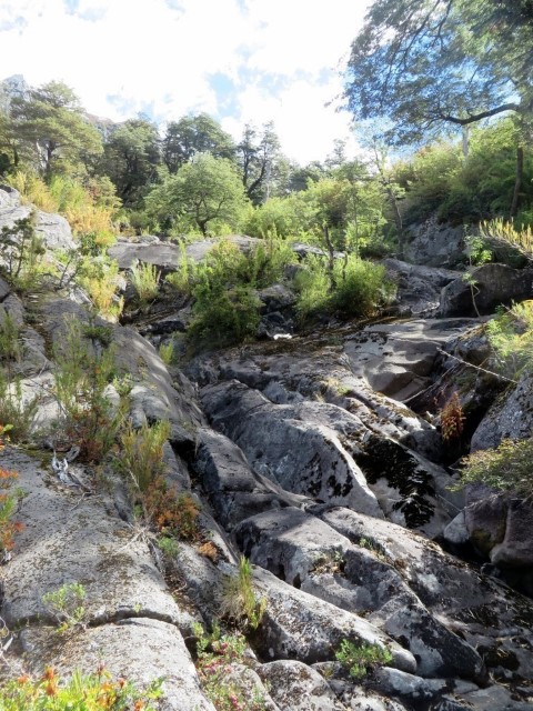 Laguna huequecura (12).JPG