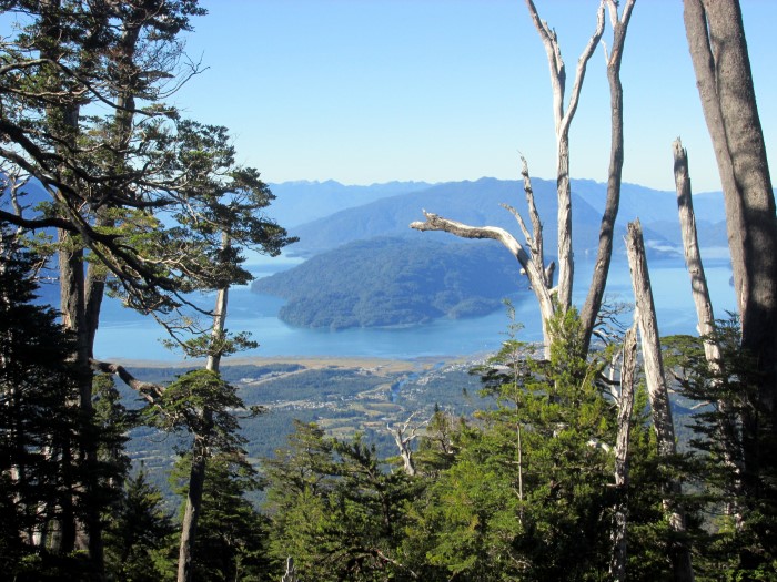 Volcan Hornopiren (21).JPG