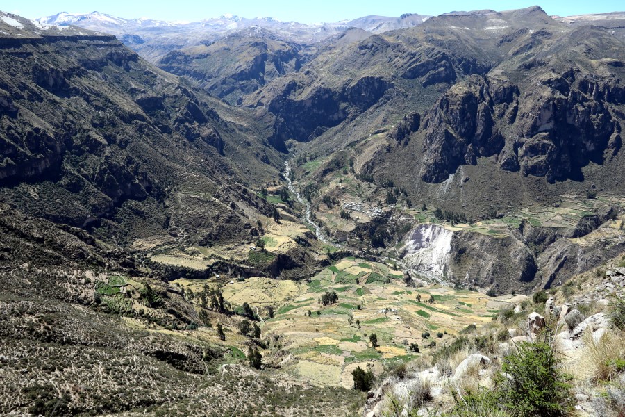 Bosque de piedras de Huito (3).JPG