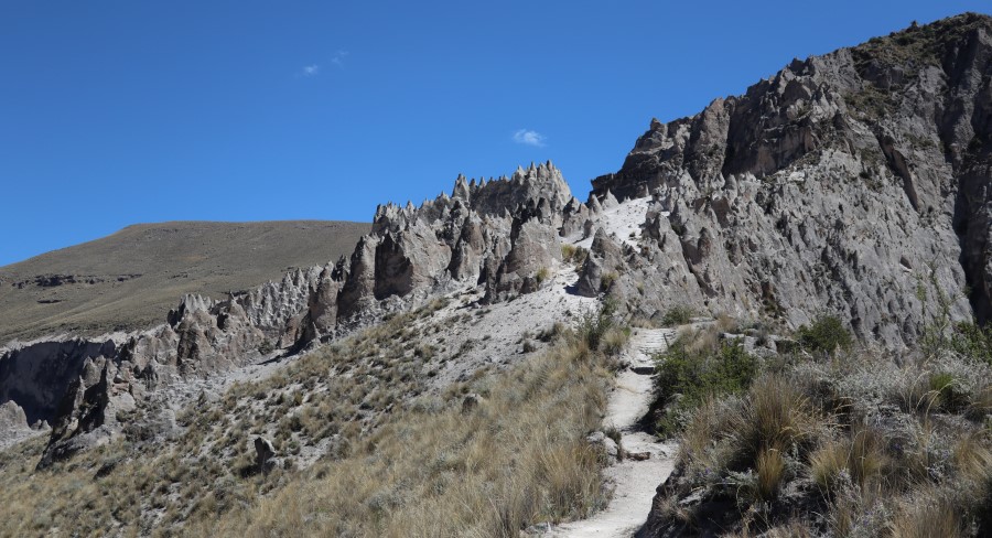 Bosque de piedras de Huito (2).JPG