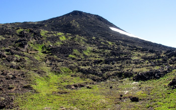 Volcan Hornopiren (19).JPG