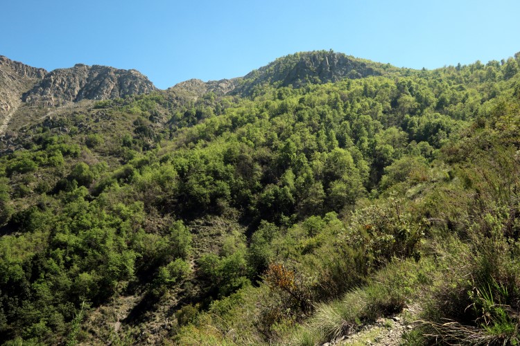 Puerta de la Cordillera (5).JPG
