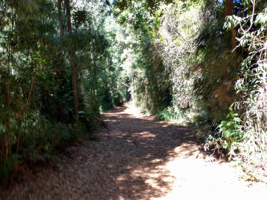 Palomares (3).jpg