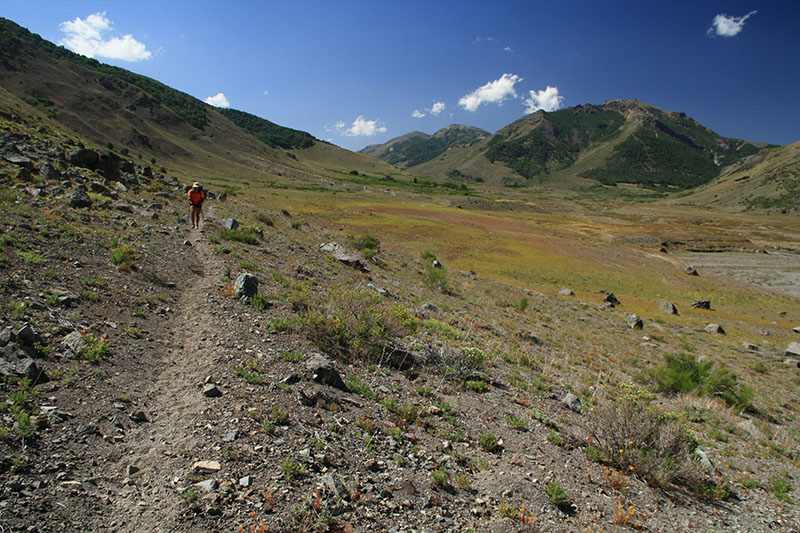 Archivo:Sendero en Puntilla Chillán.jpg
