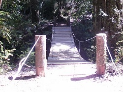 Archivo:Puente colgante en Botánico Huilo Huilo 123123.jpg