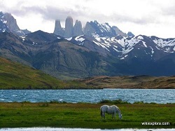Torres del Paine y Laguna Azul 123123.jpg