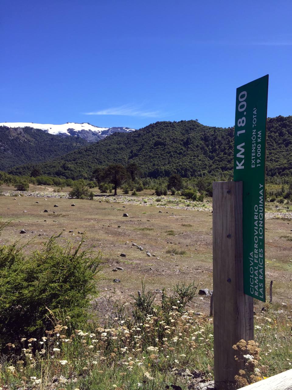 Ciclovia raices (2).jpeg