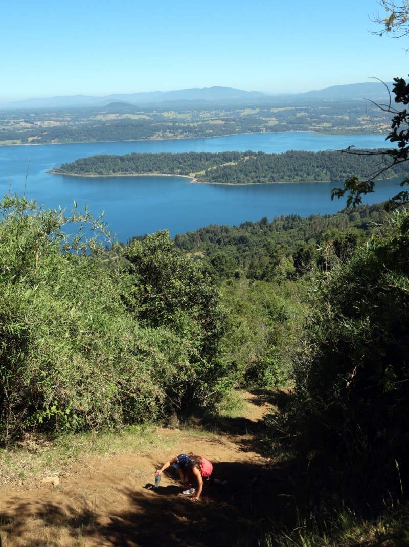 Mirador de Panguipulli (1).JPG