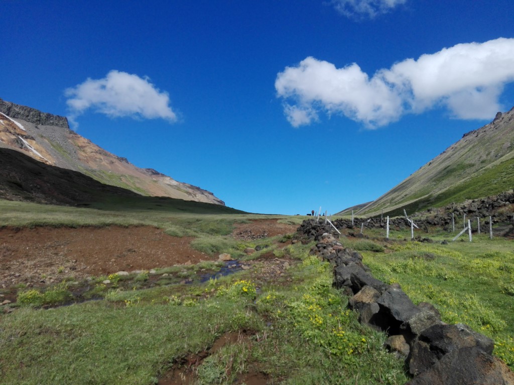 Paso copahue (14).jpg