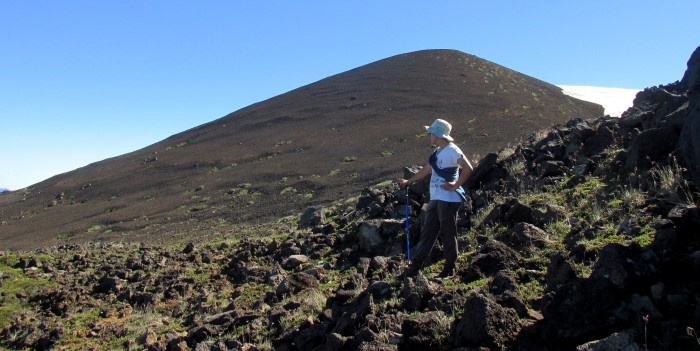 Volcan Hornopiren (18).JPG