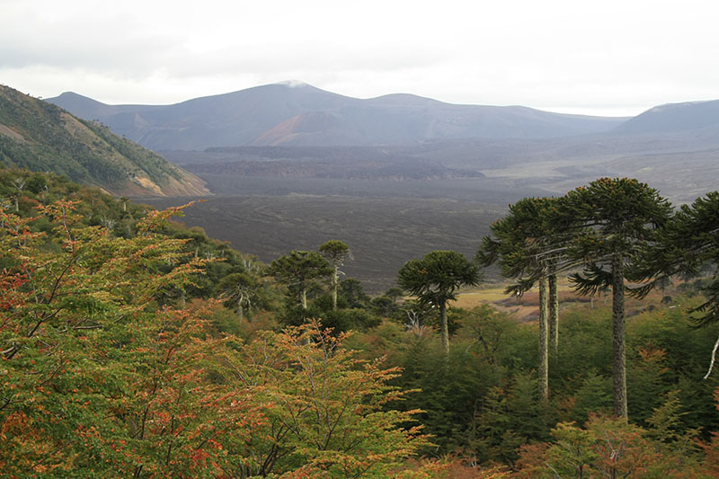 Archivo:Escorial Volcán Lonquimay.jpg