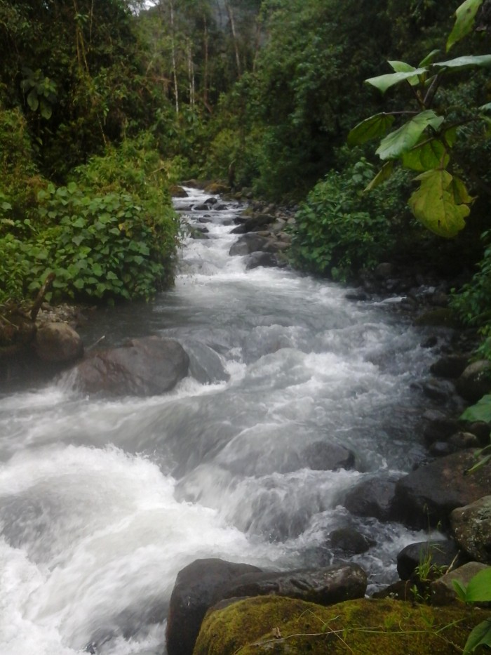 Rio Otun en La Pastora (Custom).jpg