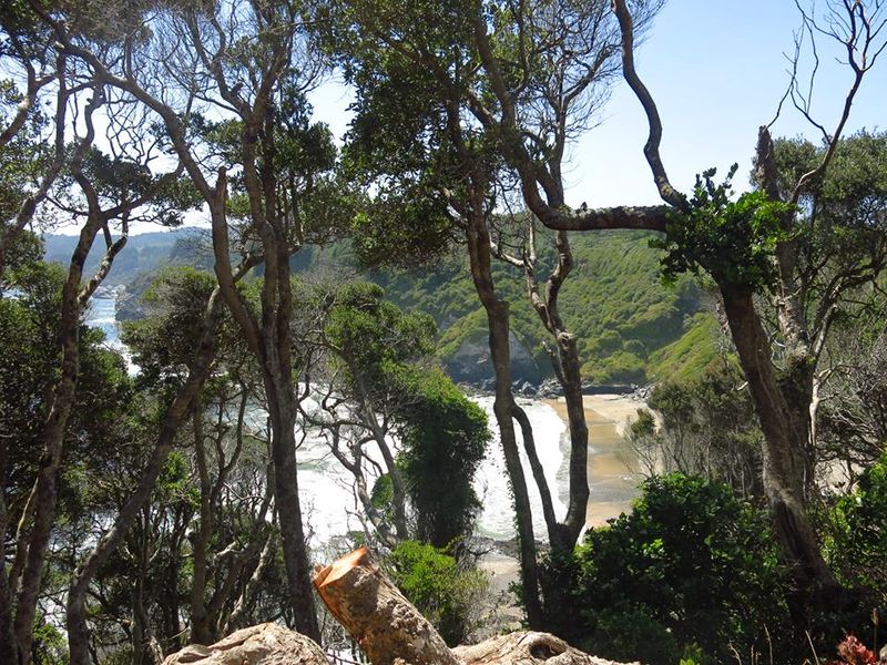 Archivo:Parque pedro del rio zañartu.jpg