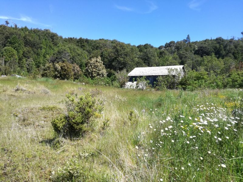 Archivo:Reserva Costera Valdiviana (10).jpg