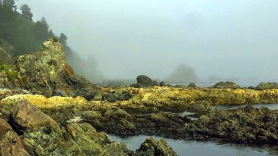 Faro tumbes (10).jpg