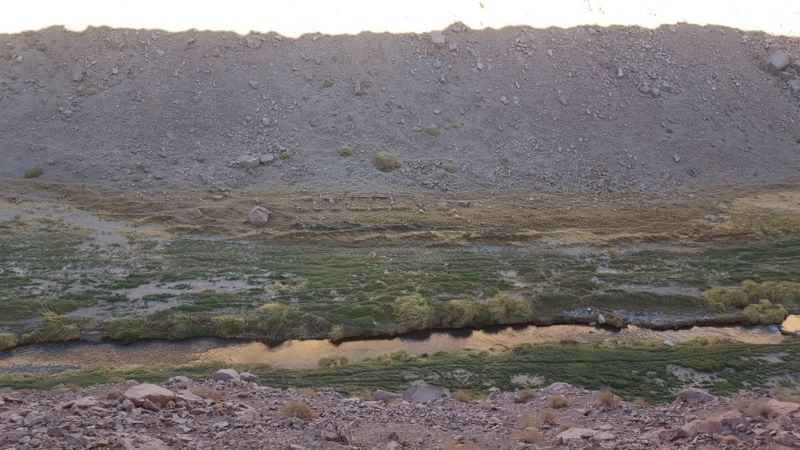 Archivo:Ale11.jpg