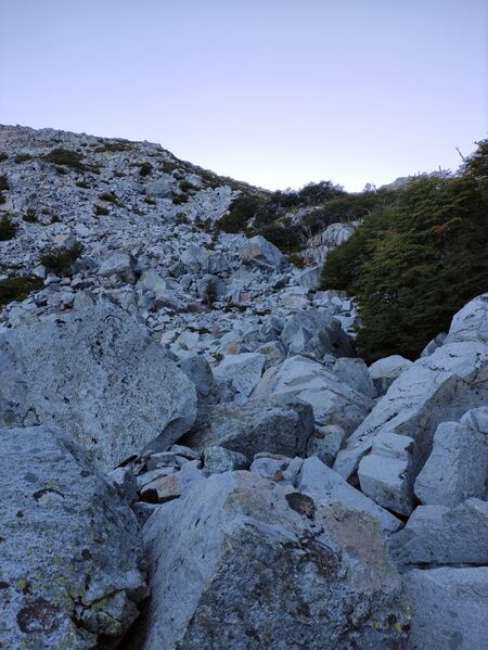 Archivo:Laguna el boqui (9).jpg