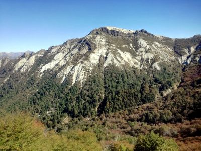 Paso coltrahue (4).jpg