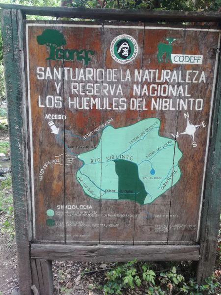 Archivo:Huemules de ñiblinto (6).jpg