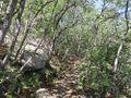 1 PN La Campana Cerro La Campana 123123.JPG
