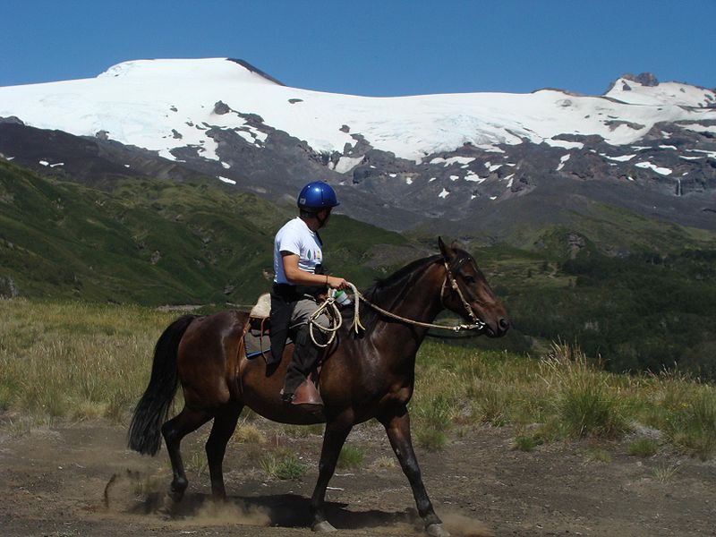 Archivo:DSC02494.JPG.jpg