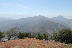 Vista oriente.jpg
