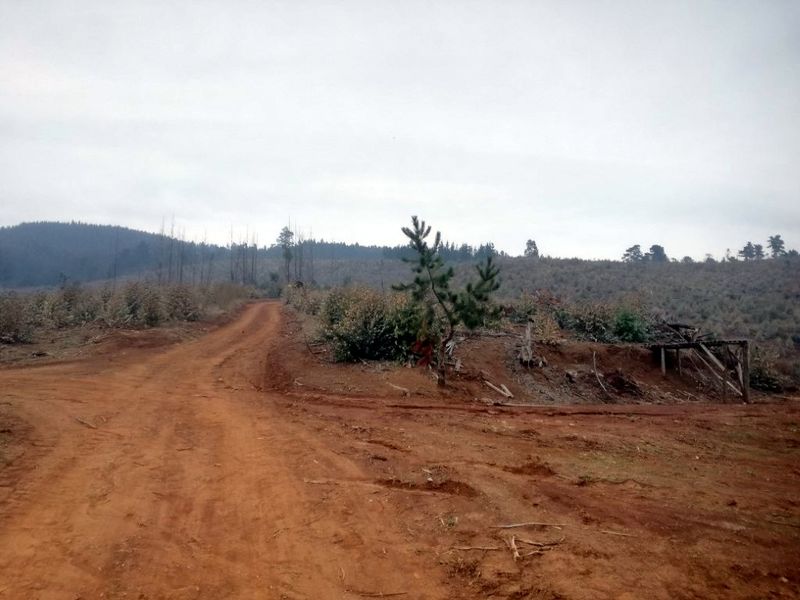 Archivo:Cerro neuque (10).jpg