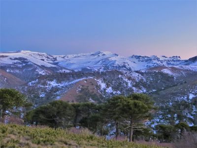 Cerro Cuchare (7).jpg