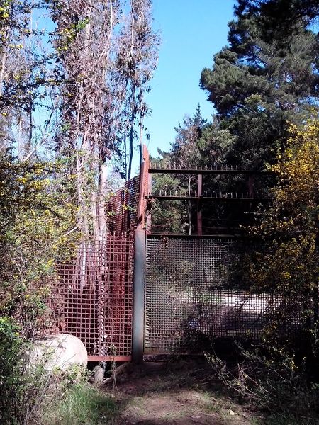 Archivo:Cerro Manquimavida (3).jpg