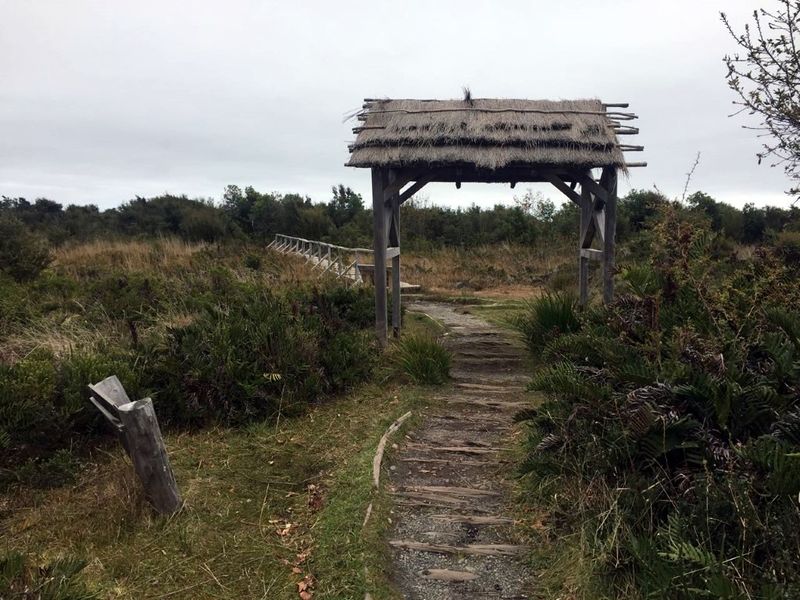 Archivo:Pn chiloe (10).jpg