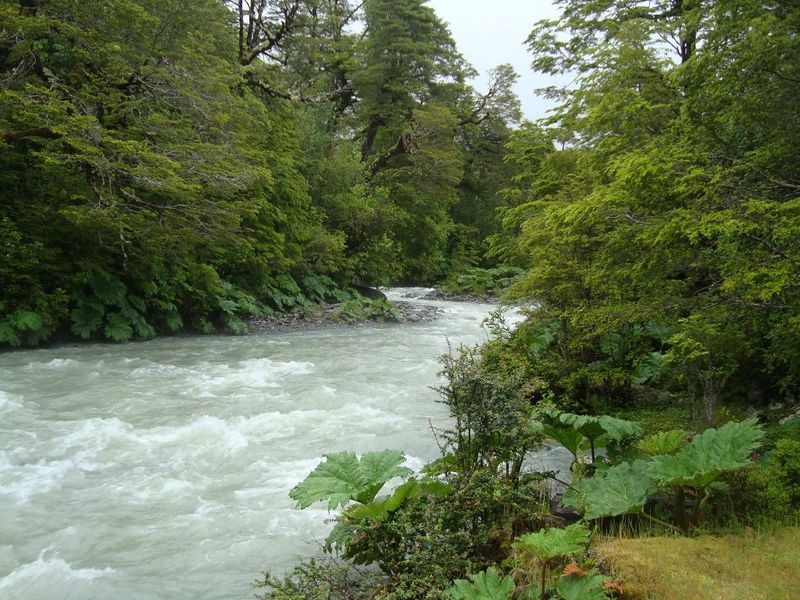 Archivo:RioVentisquero1.jpg