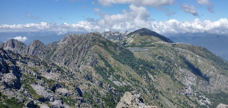 Archivo:Tricauco (120)-min.jpg