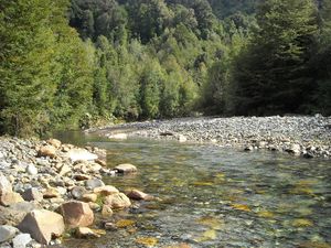 GPT 15 Lago Todos Los Santos 31105869.jpg