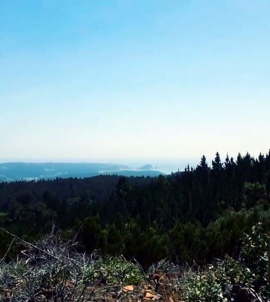 Archivo:Cerro neuque (14).jpg