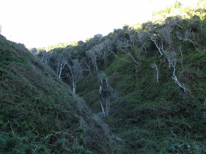 Archivo:Playa los burros (7).jpg