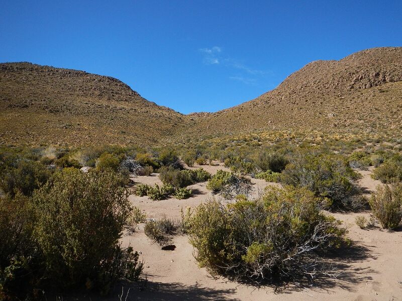 Archivo:Portezuelo desde el oeste.JPG