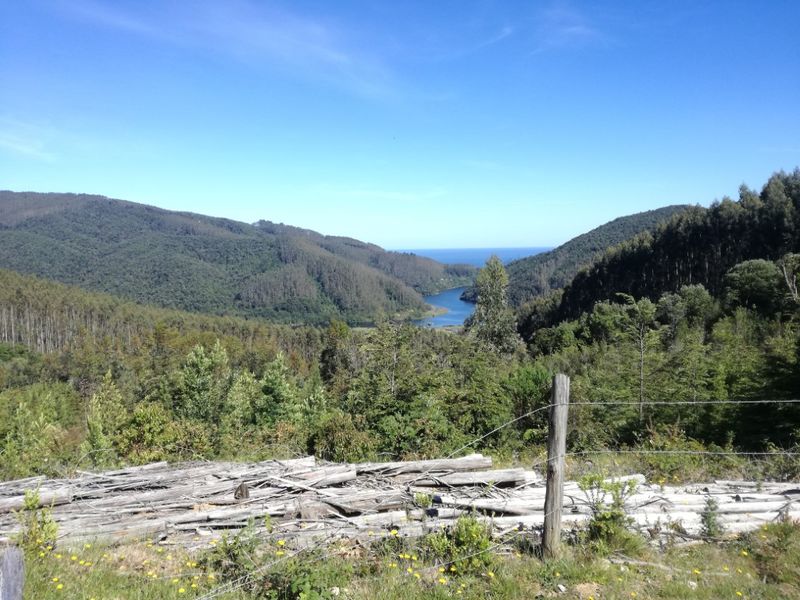 Archivo:Reserva Costera Valdiviana.jpg