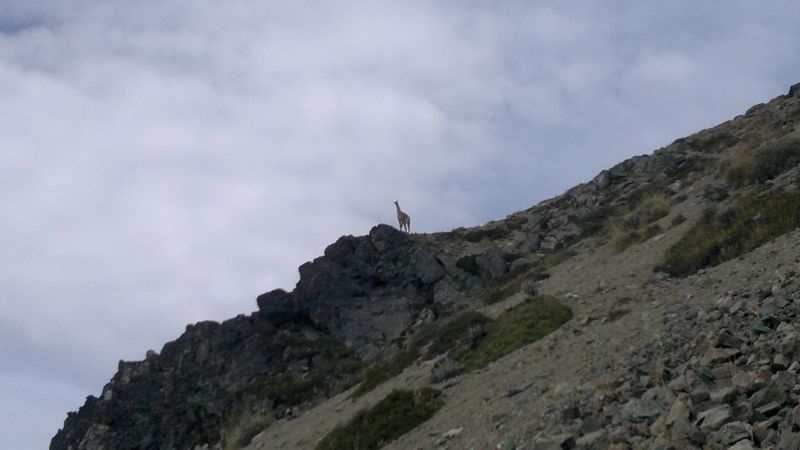 Archivo:Tamango20 (7).jpg