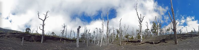 Archivo:GPT 14 Volcán Antillanca 109387267.jpg