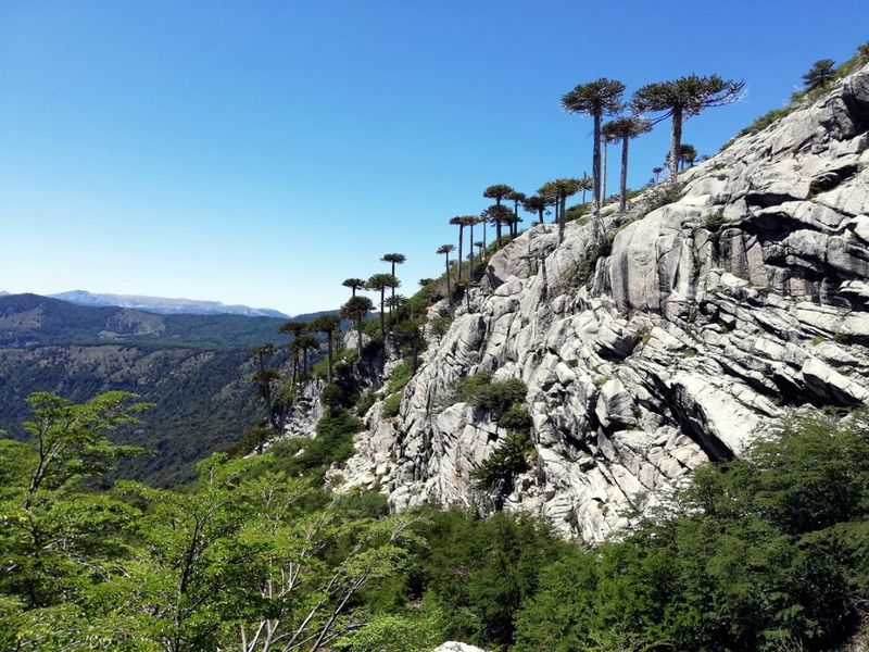 Archivo:Sierra nevada este (3).jpg