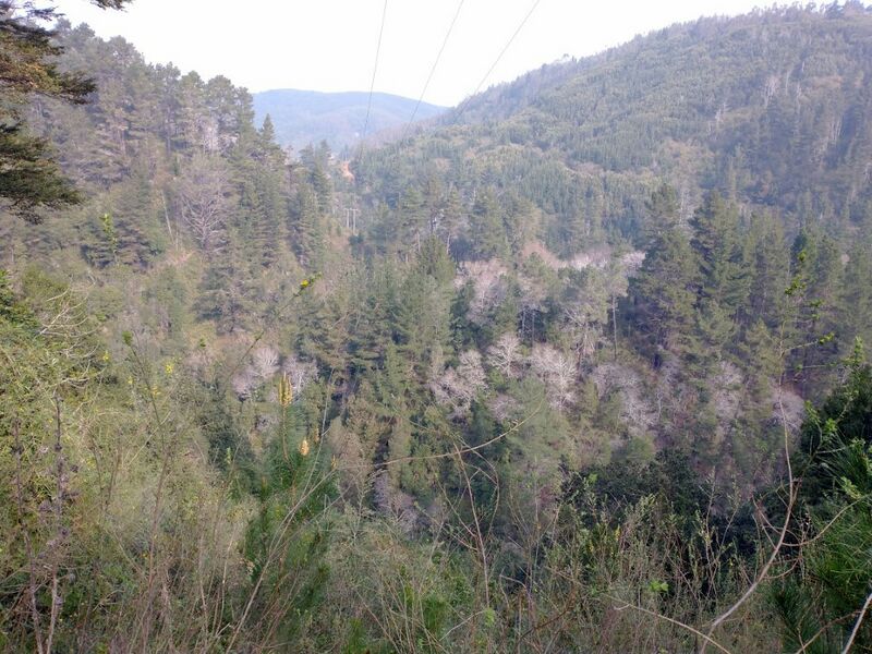 Archivo:Puente colgante de bellavista (4).jpg