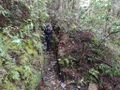 Paso rio puelo (2).jpg